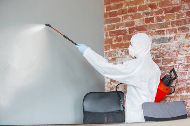 Best Commercial Mold Inspection  in Toppenish, WA