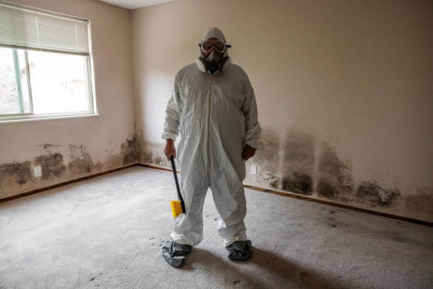 Best Mold Prevention Services  in Toppenish, WA